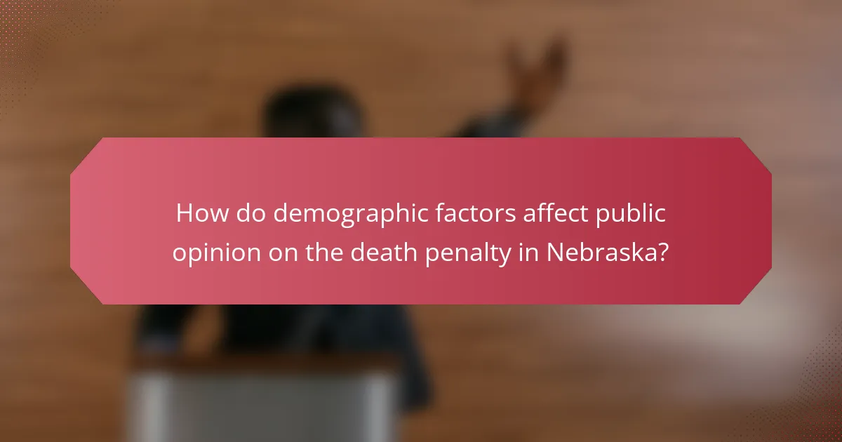How do demographic factors affect public opinion on the death penalty in Nebraska?