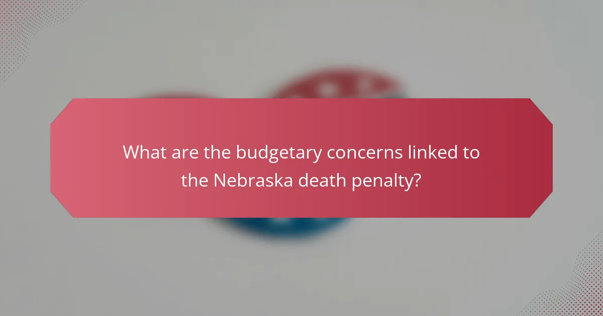 What are the budgetary concerns linked to the Nebraska death penalty?
