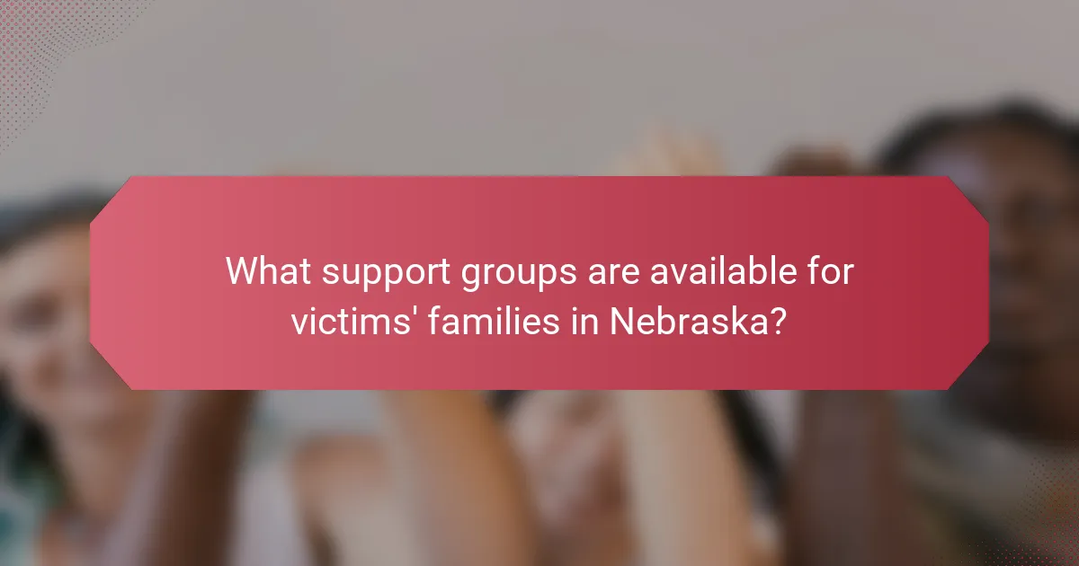 What support groups are available for victims' families in Nebraska?